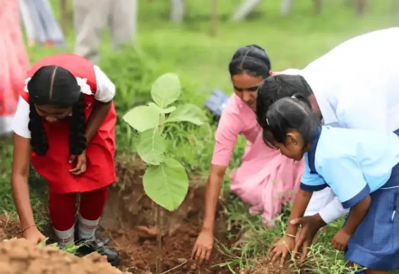 Environment drive